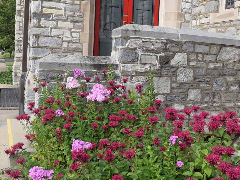 Red Door Flowers