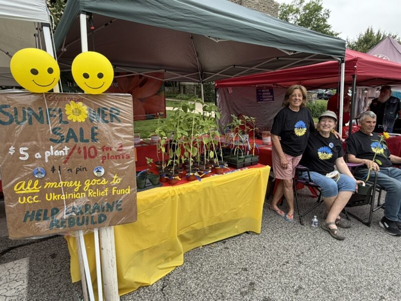 Sunflowers for Ukraine